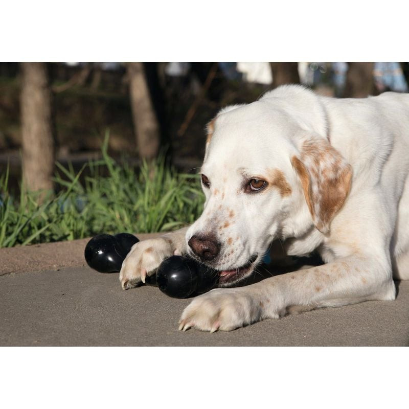 Gros plan sur l'os KONG Extreme Goodie Bone rempli de friandises, un chien jouant avec par terre.