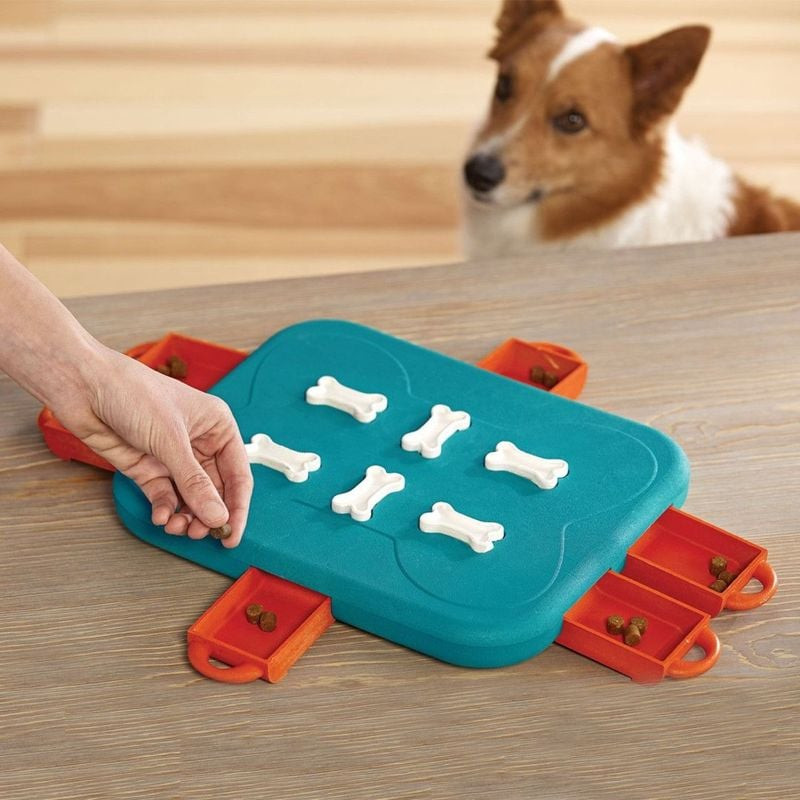 Image lifestyle d'un chien interagissant avec le Dog Casino 1966167 de Nina Ottosson, ouvrant un tir