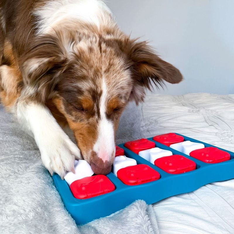 Jouet puzzle Nina Ottosson Dog Brick sur le sol, avec compartiments à friandises, couvercles, pannea