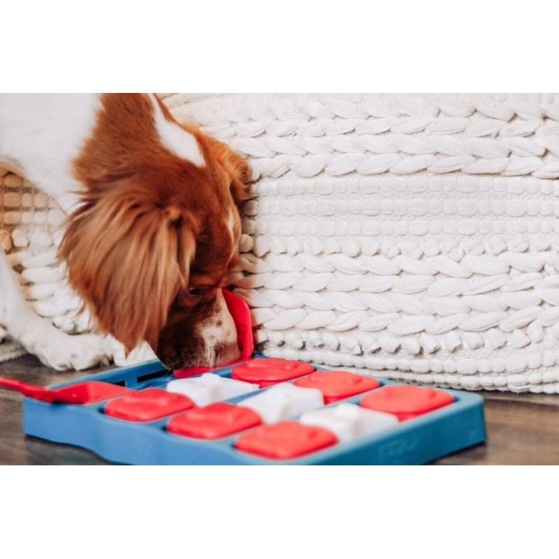 Un chien soulève un couvercle du puzzle Dog Brick de Nina Ottosson avec son museau et sa patte, révé