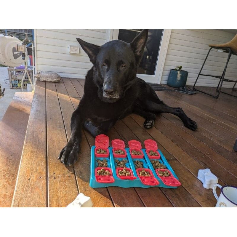 Gros plan sur le puzzle Dog Brick de Nina Ottosson avec la patte d'un chien poussant un panneau coul