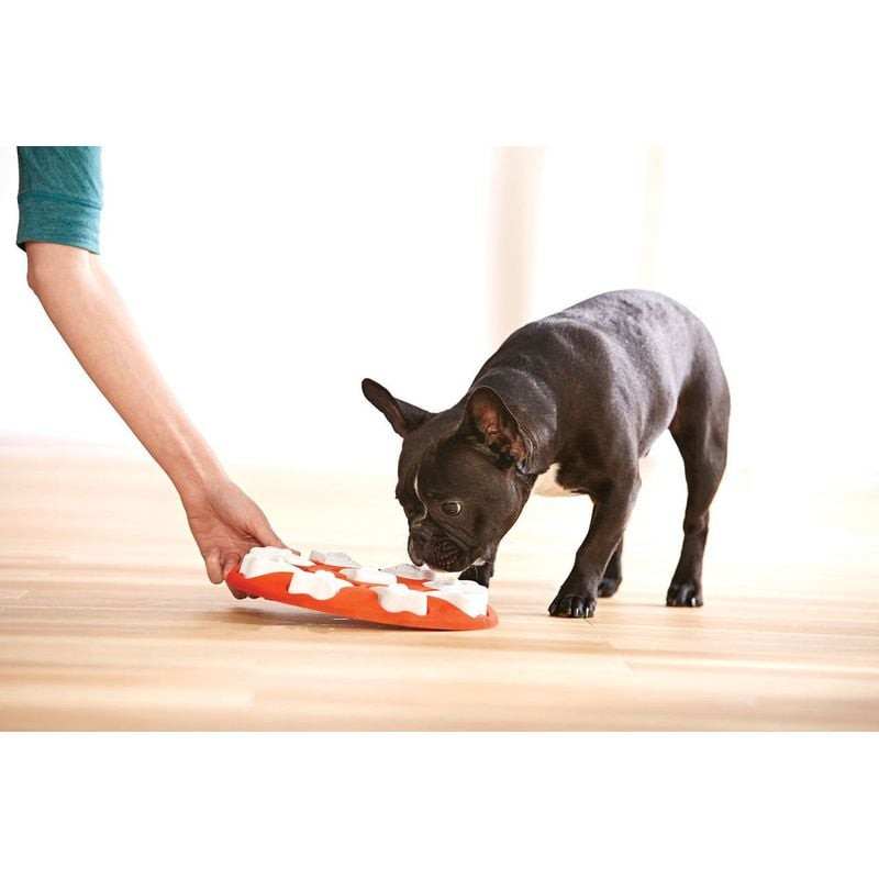 Chien jouant activement avec le puzzle Dog Smart de Nina Ottosson, poussant un os.