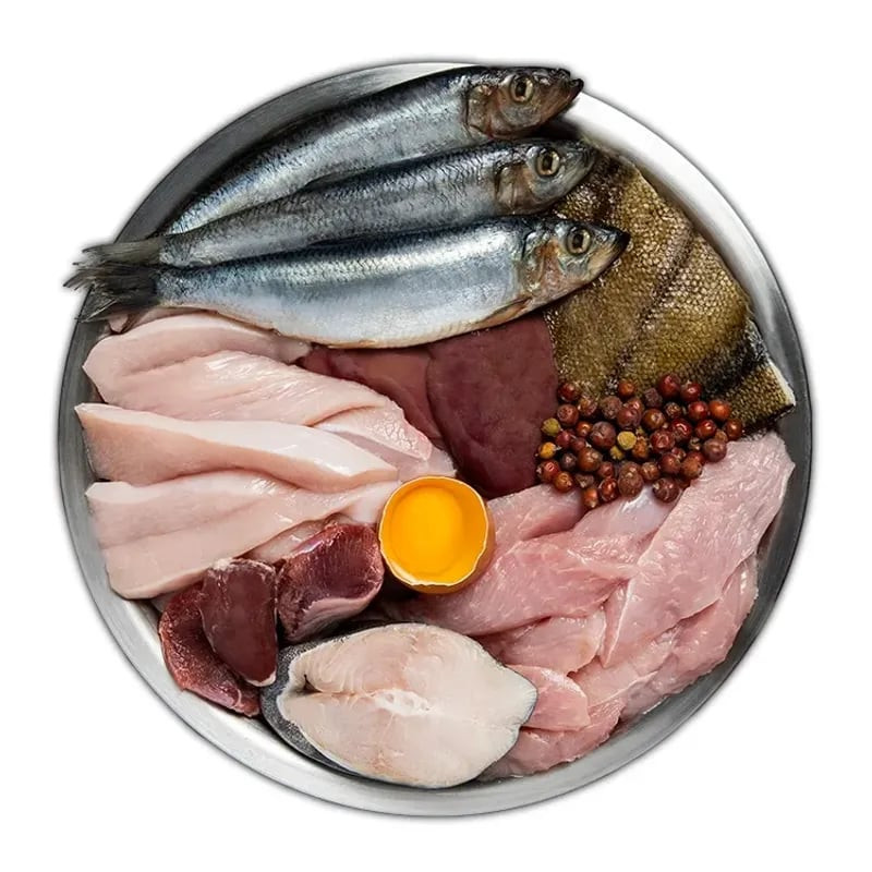 Gros plan sur les croquettes ORIJEN Fit & Trim pour chat, révélant leur texture, leur taille et leur