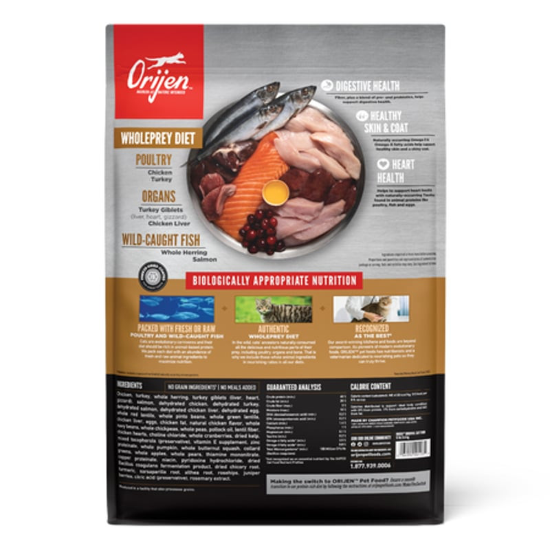 Gros plan des croquettes Orijen Original Chat montrant la texture et la forme pour une vue détaillée