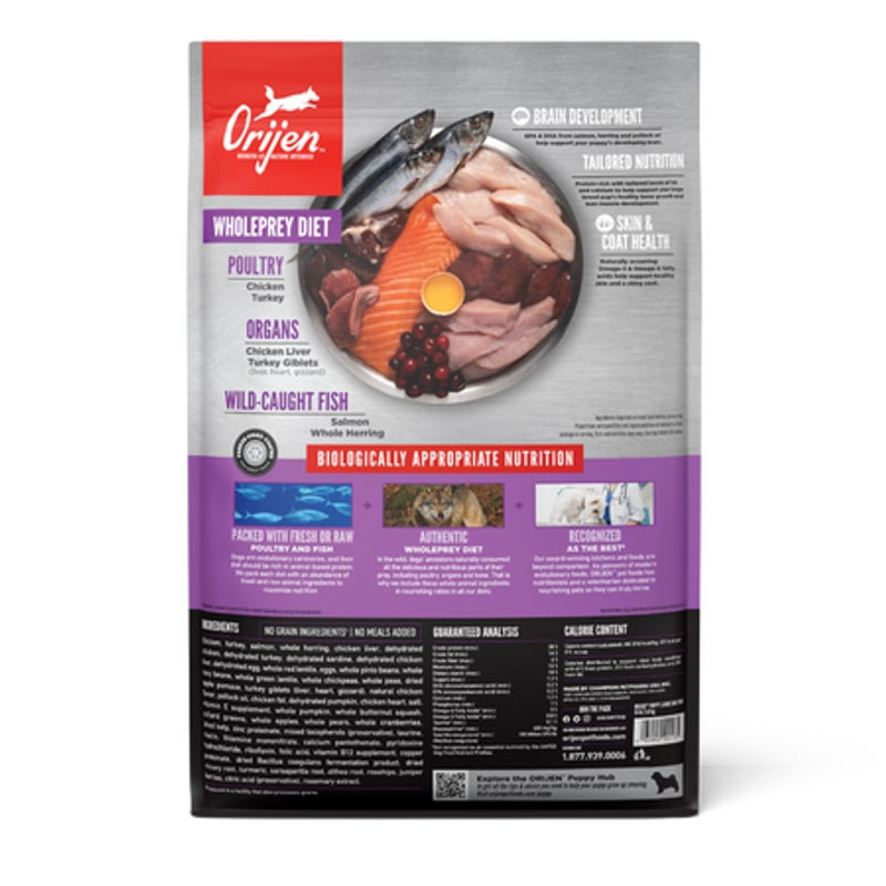 Gros plan sur les croquettes ORIJEN Puppy Large montrant leur texture et leur forme.