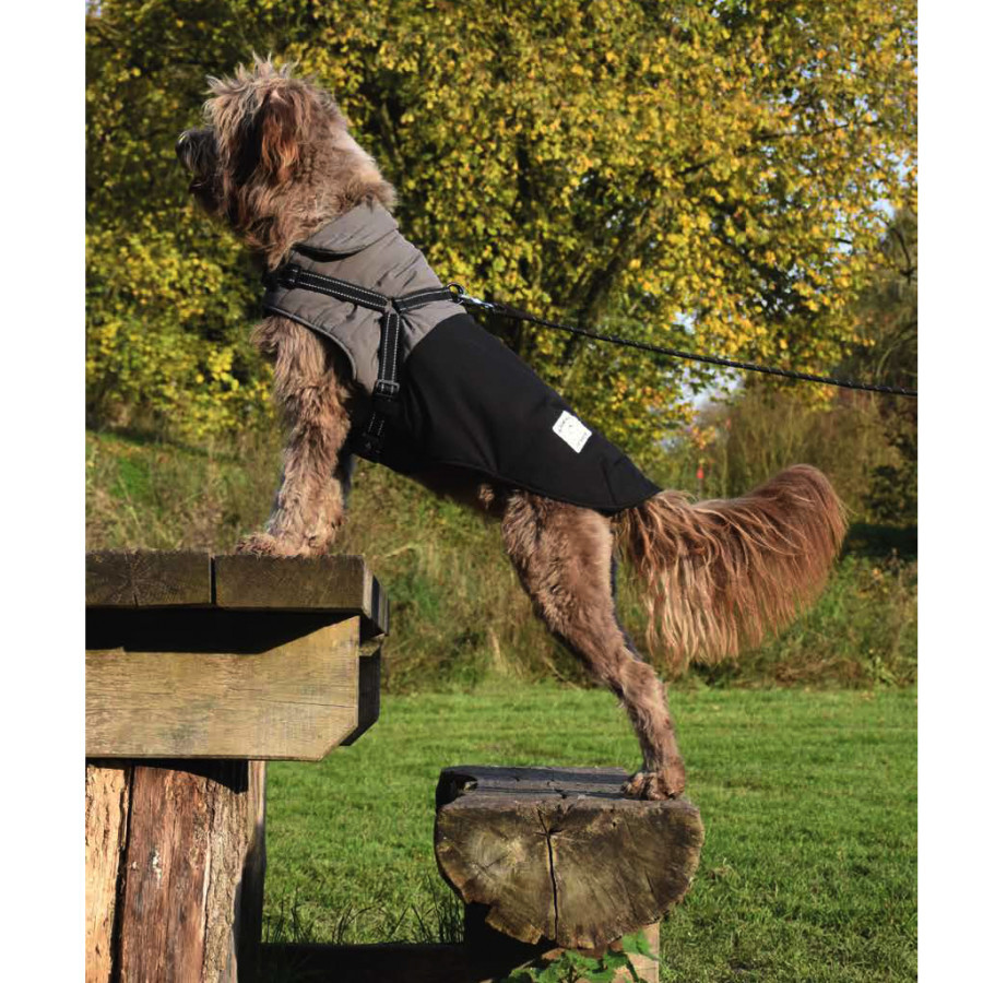 Golden retriever wearing Croci 1116540 Tour Noir dog coat in snowy park, showcasing the warm lining 