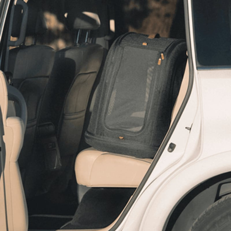 Caisse de transport Tavo Crispin Onyx dans un salon, montrant son design élégant et ses panneaux en 