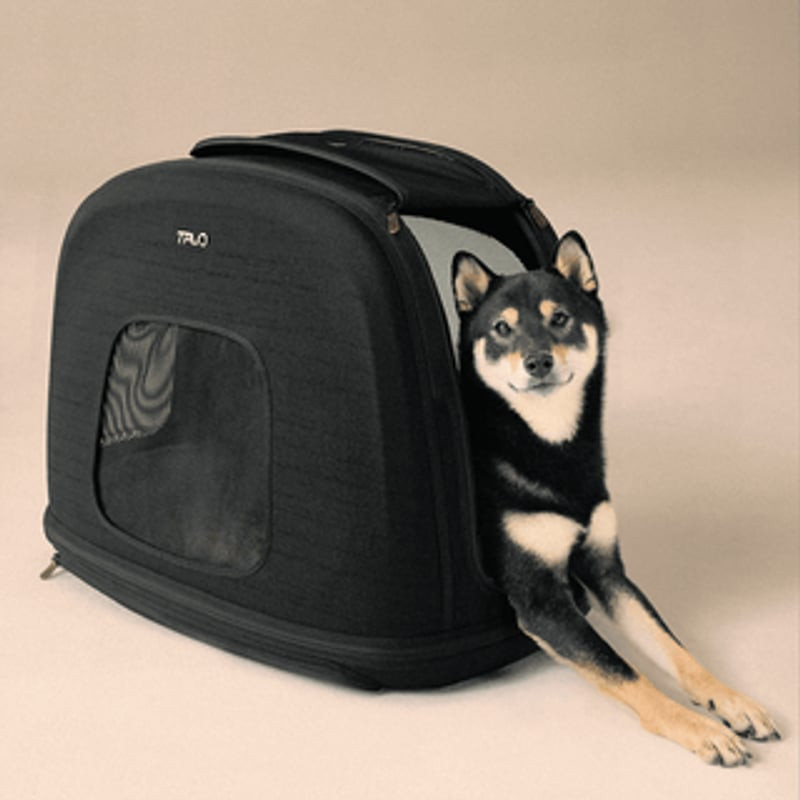 Caisse de transport Tavo Crispin Onyx sécurisée avec ISOFIX et Top Tether sur la banquette arrière.