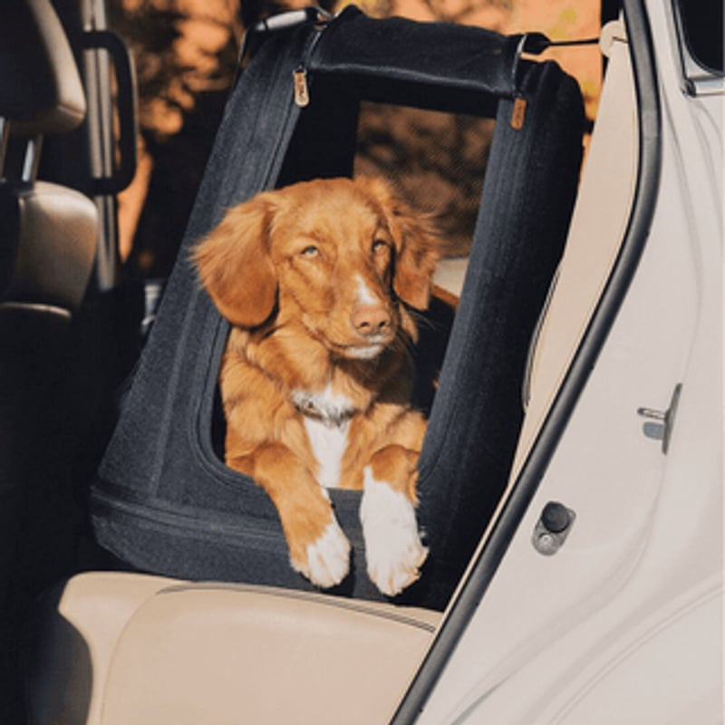 Caisse de transport Tavo Crispin Onyx pliée à plat pour un rangement et une portabilité faciles.