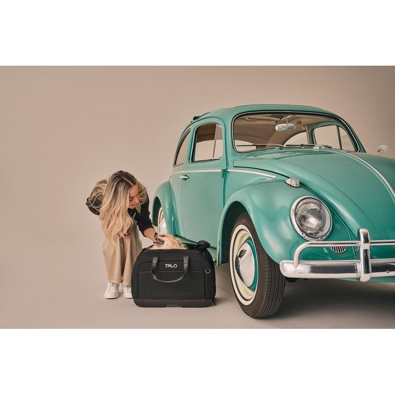 Image lifestyle d'un chien confortablement installé dans le siège auto et sac de transport Tavo Pets