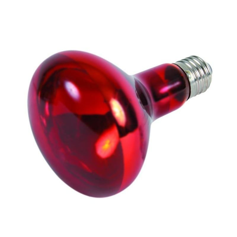 Ampoule infrarouge Trixie 150W spot R95 E27 pour terrarium reptiles oiseaux