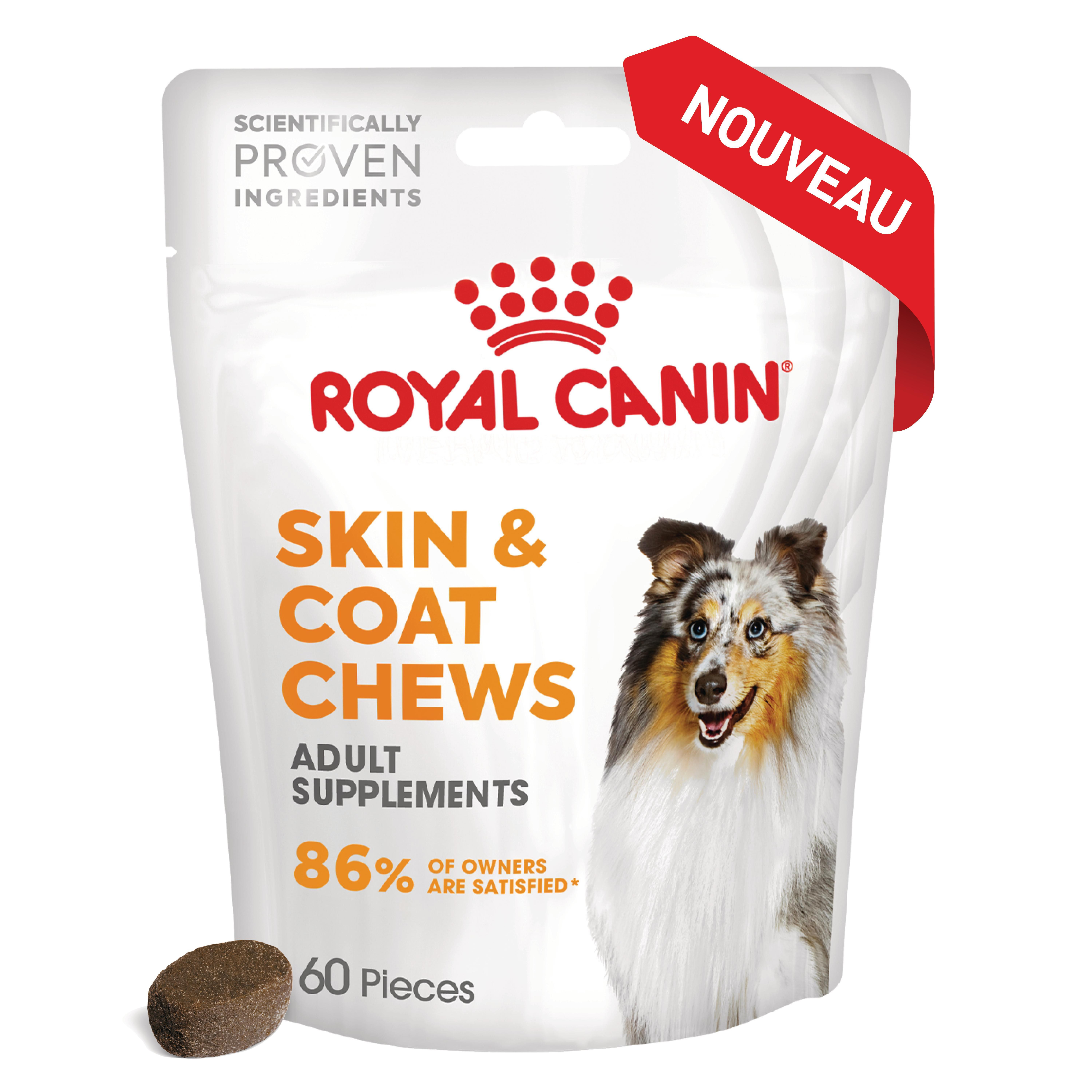 Royal Canin Supplément Peau & Poil Chien - Santé Brillance Pelage 240g