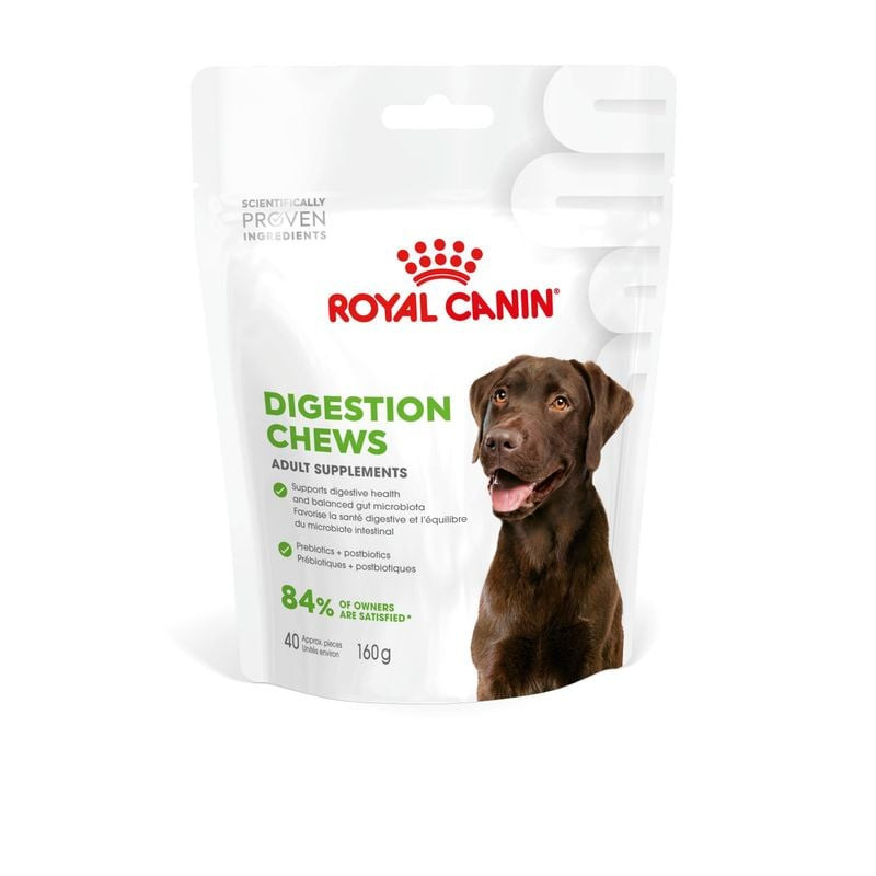 Packshot des compléments digestifs ROYAL CANIN 1116047 pour chiens adultes, sachet de 160 g avec 40 