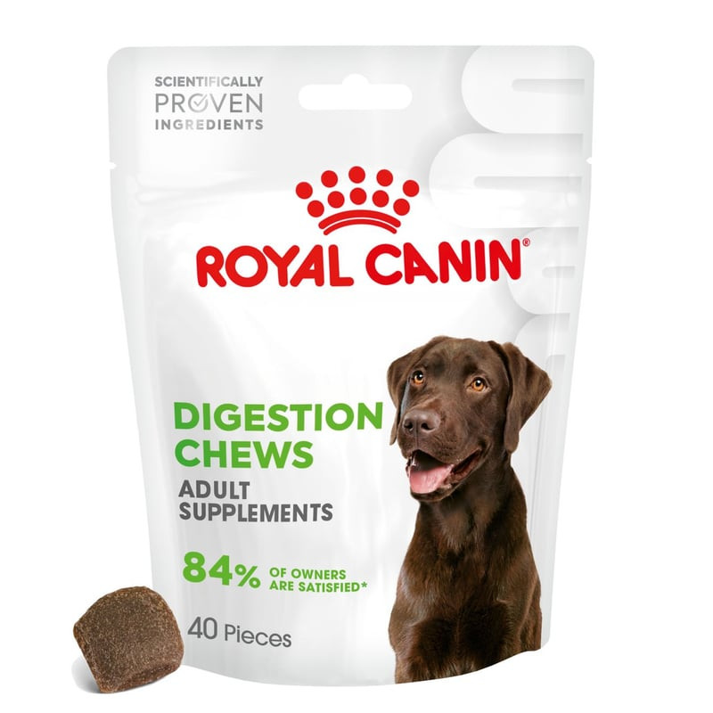 Packshot en gros plan des compléments digestifs ROYAL CANIN 1116047 montrant les bouchées molles à l