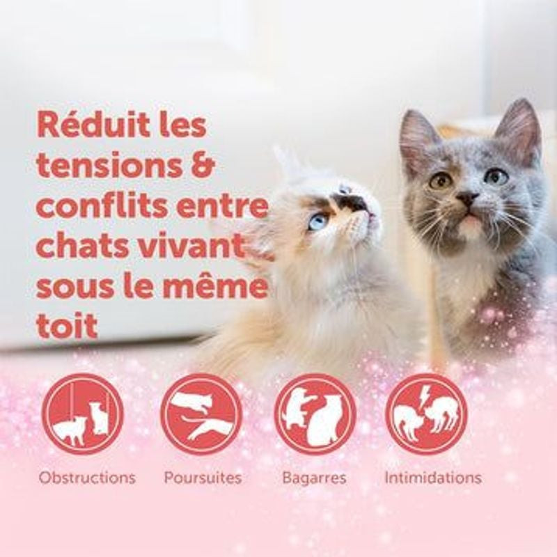 Pièce ambiante avec diffuseur Feliway Friends et recharge branchée, créant un environnement calme po