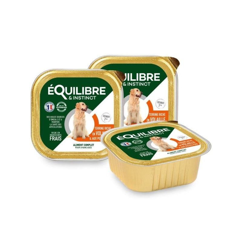 Image ambiante de la terrine Équilibre & Instinct pour chien âgé servie dans un bol, à côté d'un chi