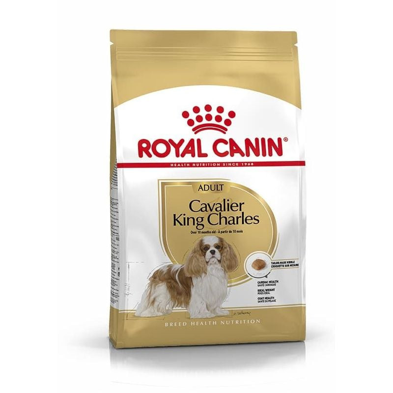 Sac de croquettes Royal Canin Cavalier King Charles Adulte, formulé pour les petits chiens, soutient