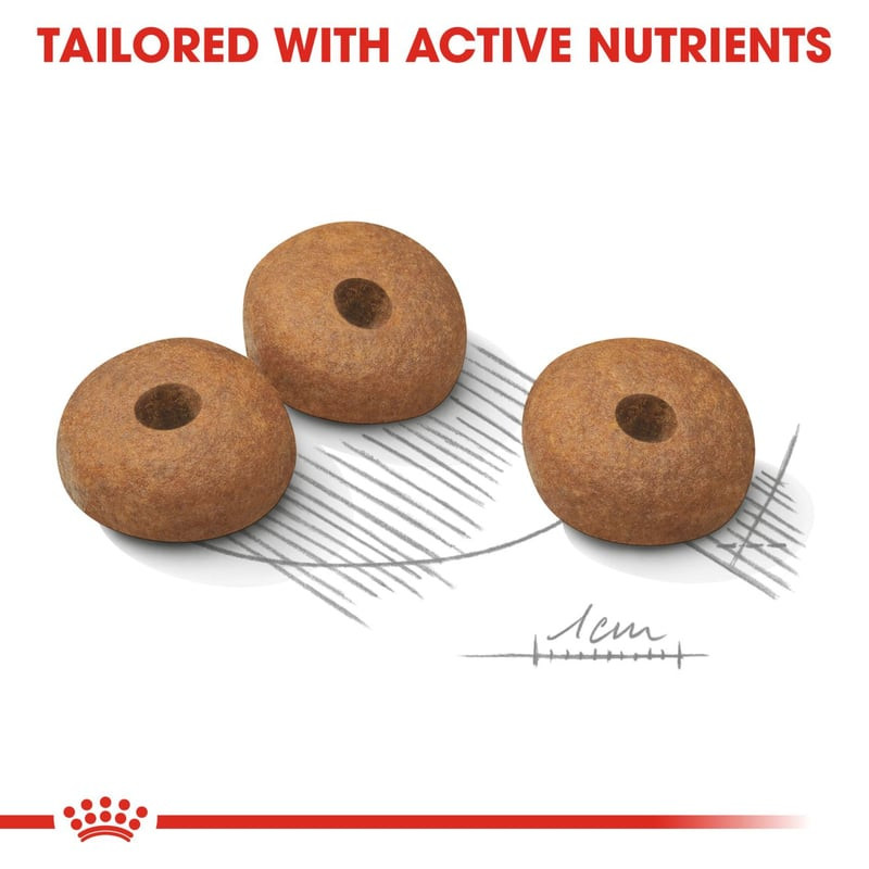 Gros plan sur des croquettes Royal Canin Mini Light Weight Care, montrant leur petite taille et text