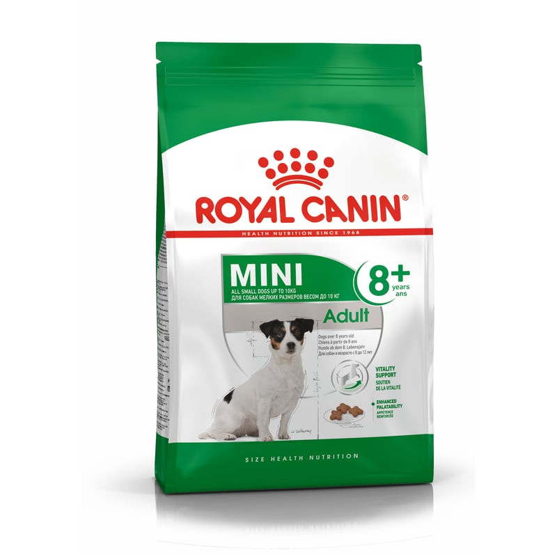 Croquettes Royal Canin Mini Adult 8+ pour chien senior petit format, vue de face montrant emballage 