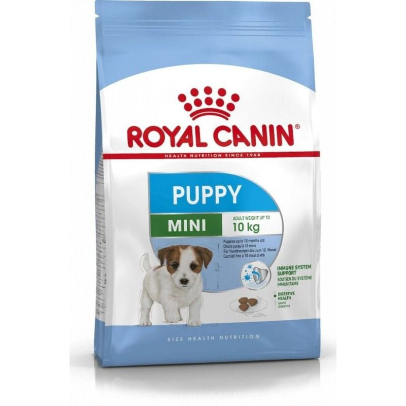 Sac de croquettes Royal Canin Mini Junior pour chiots de petite race, avec des croquettes de petite 