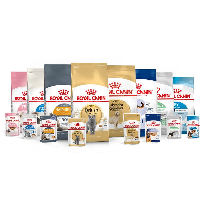 Un chat senior mange des croquettes Royal Canin Stérilisé 7+ dans un bol en céramique sur un sol de 
