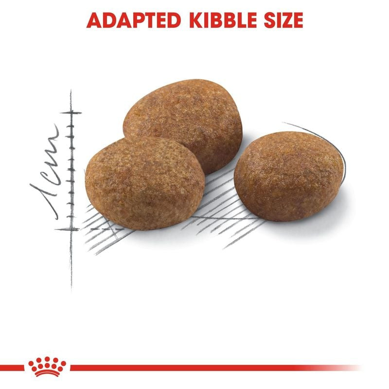 Gros plan sur les croquettes Royal Canin Stérilisé 7+ montrant leur forme, taille et texture pour un
