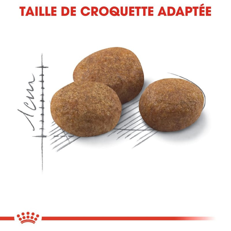 Vue en détail des croquettes ROYAL CANIN Sterilised 7+, montrant la forme et la texture de l'aliment