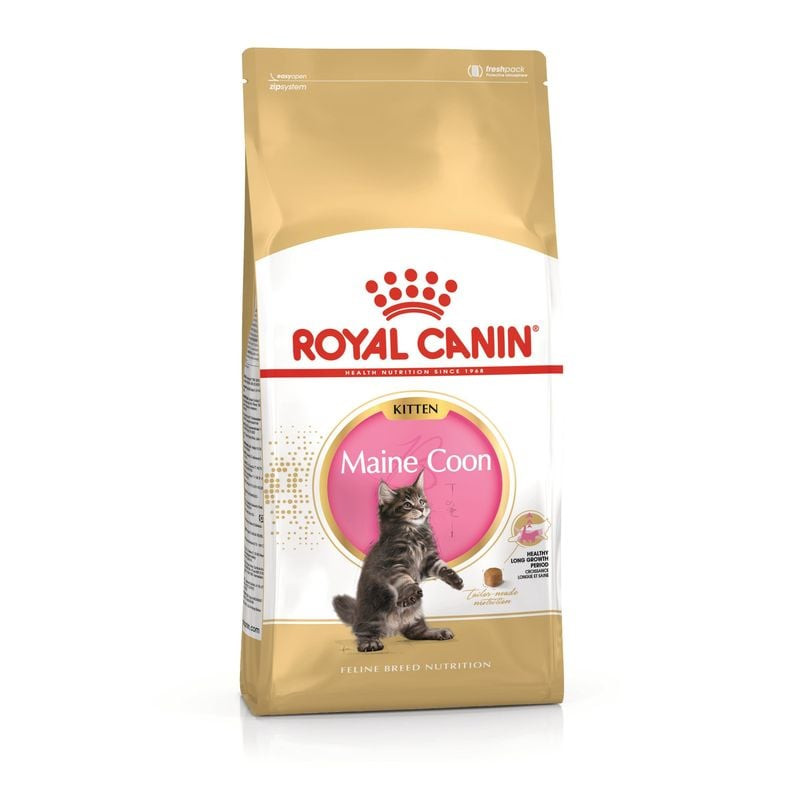 Sac de croquettes Royal Canin Maine Coon Kitten sur fond blanc, formule spécifique pour chatons jusq