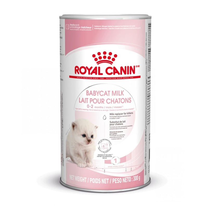Packshot du sachet Royal Canin Lait Babycat 300g avec biberon, tétines et cuillère sur fond blanc.