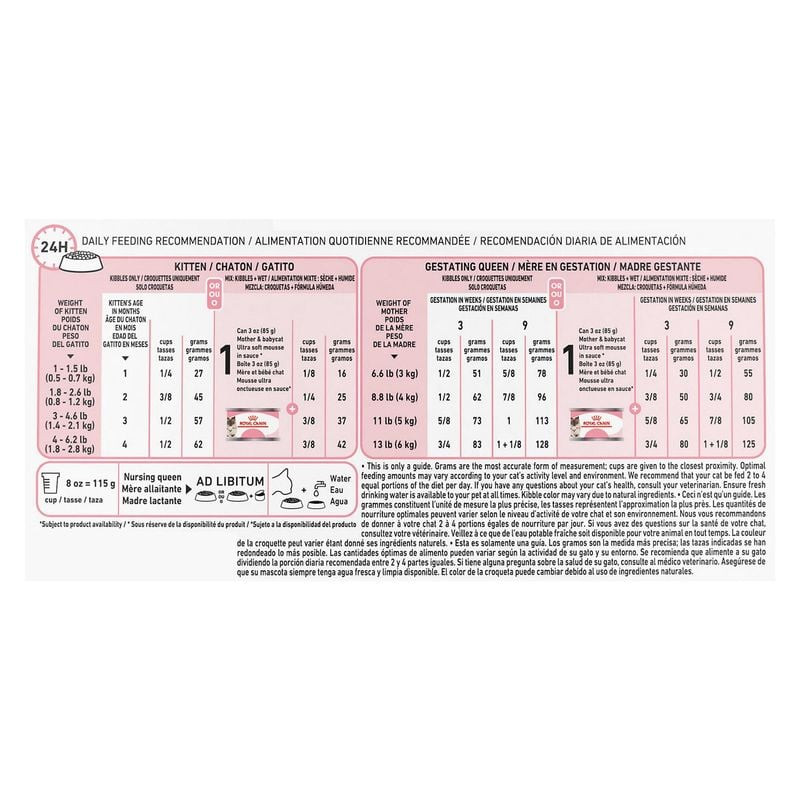 Gros plan des petites croquettes réhydratables Royal Canin Mother & Babycat