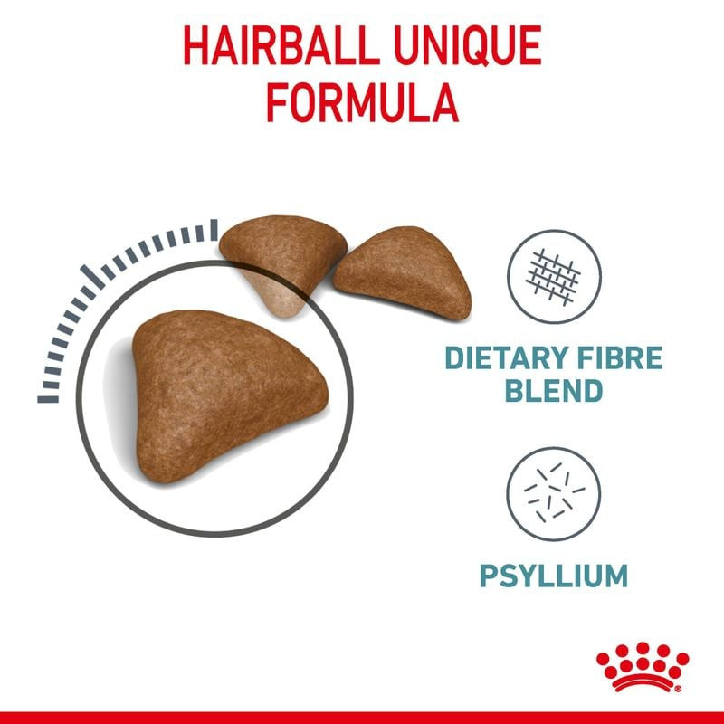 Gros plan sur les croquettes Royal Canin Hairball Care montrant de petits morceaux croustillants ave