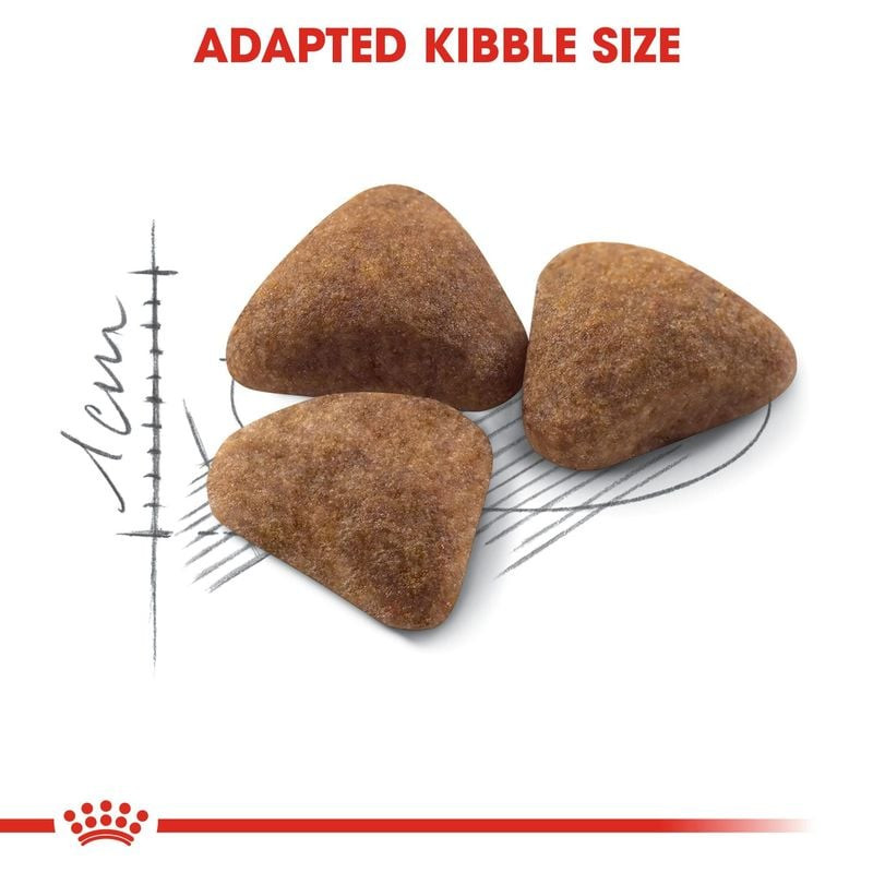Gros plan du sac Royal Canin Indoor 27 montrant les ingrédients et le guide d'alimentation.