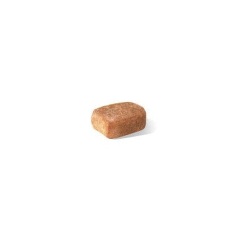 Gros plan sur de petites croquettes de forme adaptée Royal Canin Chihuahua Junior