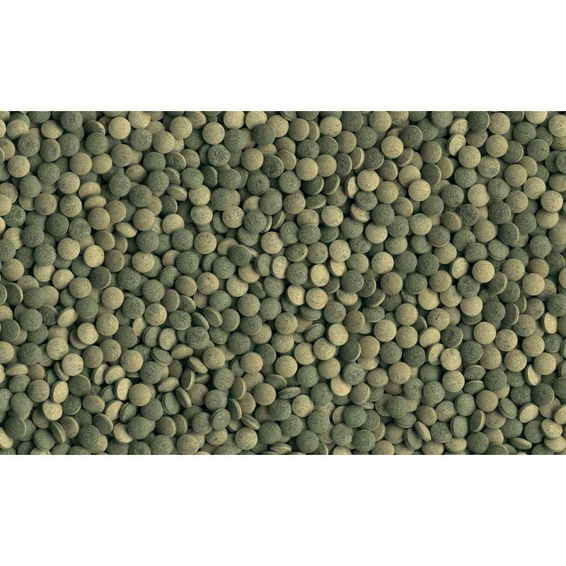 Image détaillée des tablettes Tetra pour poissons de fond montrant la texture et la forme des compri