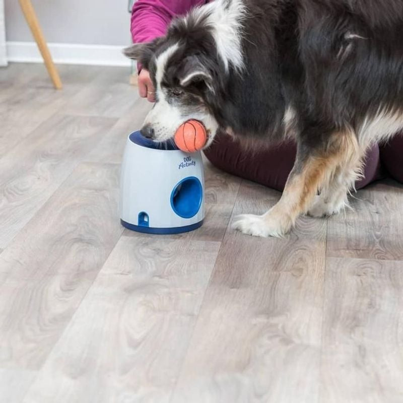 Chien interagissant avec le jeu de stratégie TRIXIE, plaçant la balle dans l'ouverture pour obtenir 