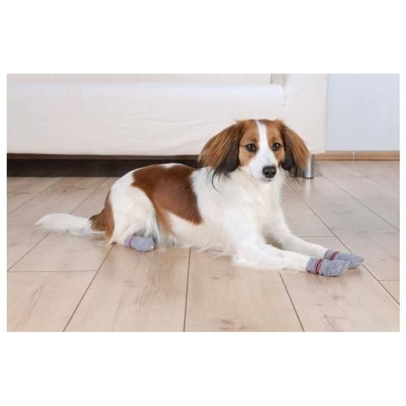 Chien portant des chaussettes anti-dérapantes TRIXIE sur un sol lisse, montrant une meilleure adhére