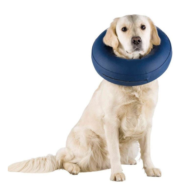 Plan d'ambiance d'un chien portant le collier gonflable Trixie, se reposant confortablement sur un l