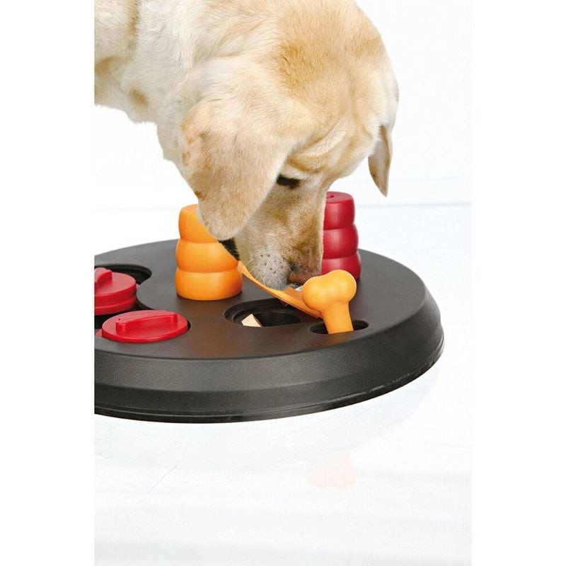 Petit chien interagissant avec le Trixie Flip Board, soulevant un couvercle avec son museau pour tro