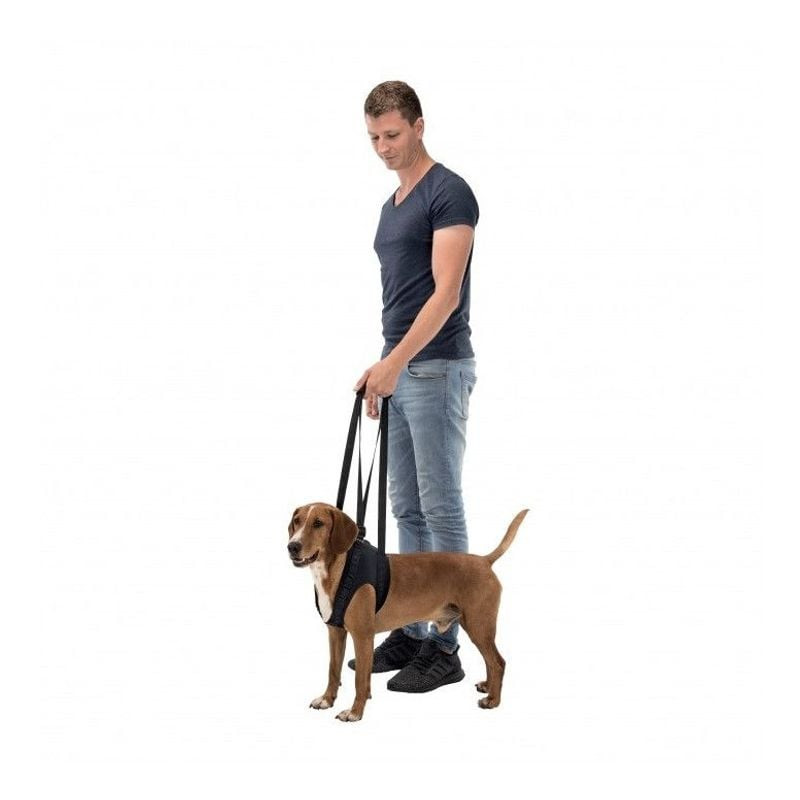 Utilisation du harnais Trixie pour aider le chien à monter en voiture - taille M, harnais noir en ac