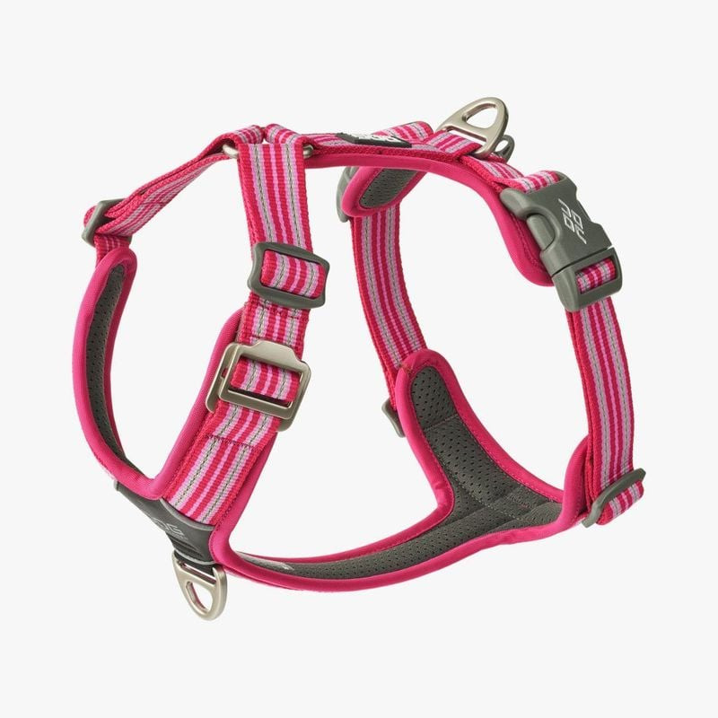 Gros plan du harnais DOG Copenhagen Comfort Walk Air Wild Rose montrant les sangles réglables et la 