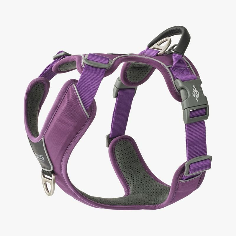 Vue arrière du harnais DOG Copenhagen Comfort Walk Pro : point d'attache au dos et panneau dorsal re