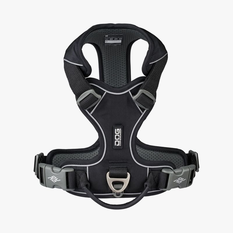 Vue arrière du harnais Comfort Walk Pro avec poignée antidérapante, passepoils réfléchissants et deu