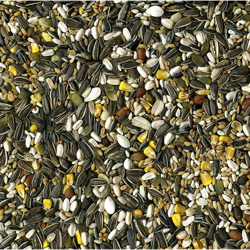 Close-up of the ingredient list on Vadigran Le Perroquet Original parrot food package, highlighting 
