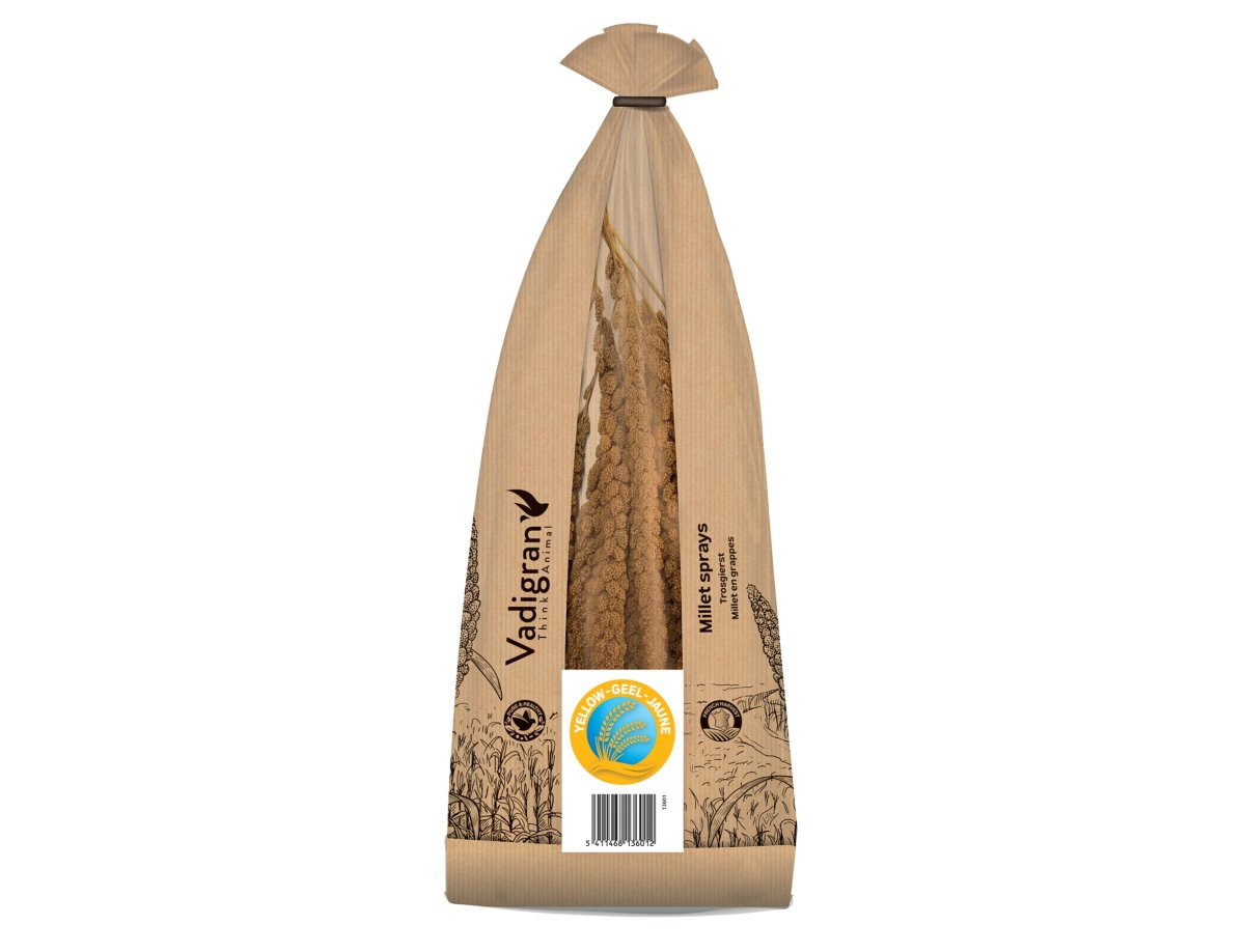 A yellow millet spray for birds displayed on a clean white background, showing clusters of seeds att
