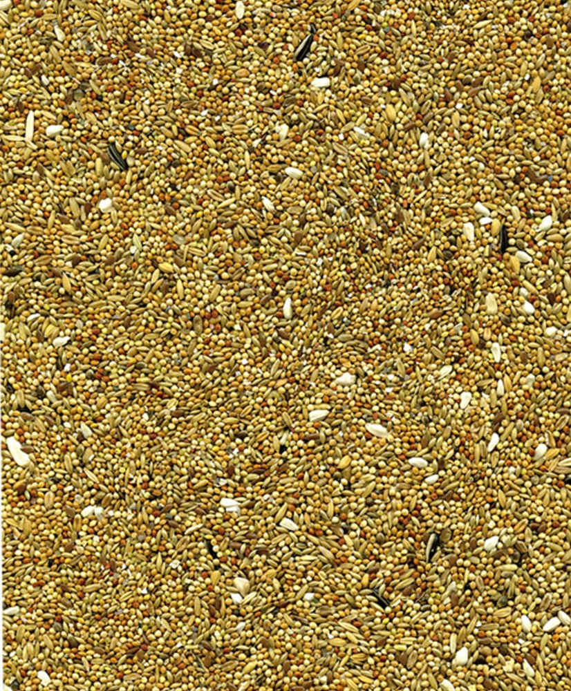 Feeding instructions and recommended daily amount for VADIGRAN 1143399 bird seed mix.