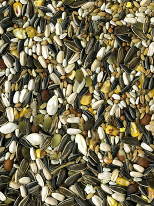 Close-up of Vadigran Perroquet Original parrot food mix showing seeds, peanuts, corn flakes, and pea