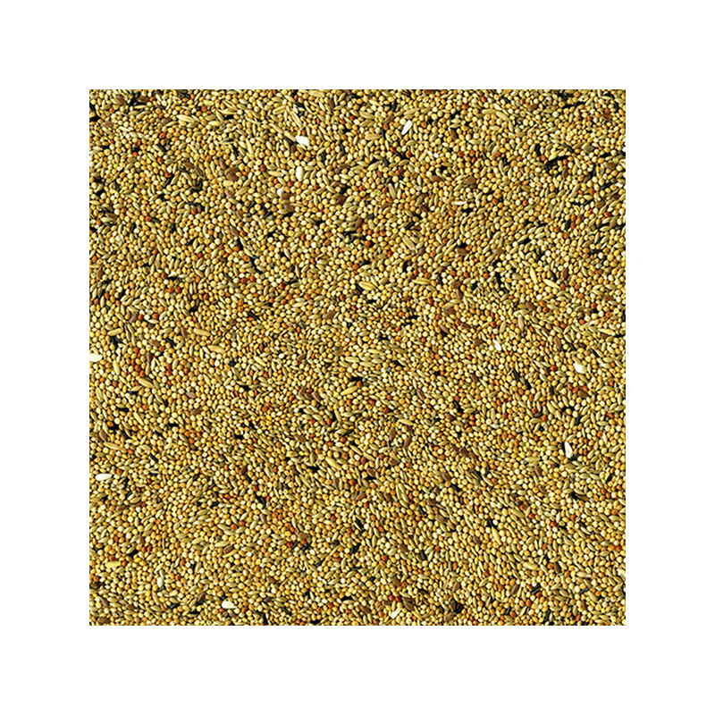 Close-up of VADIGRAN Original budgie seed mix ingredients showing various seeds like millet and cana