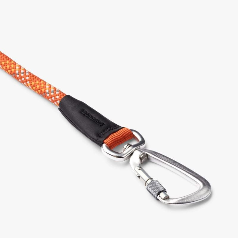 Gros plan sur le liseré réfléchissant 3M de la laisse Urban Rope 3.0 DOG Copenhagen pour une visibil