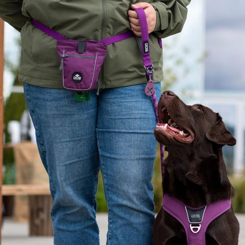 Promenade avec chien utilisant la laisse Urban Rope DOG Copenhagen dans un parc, démonstration d'usa