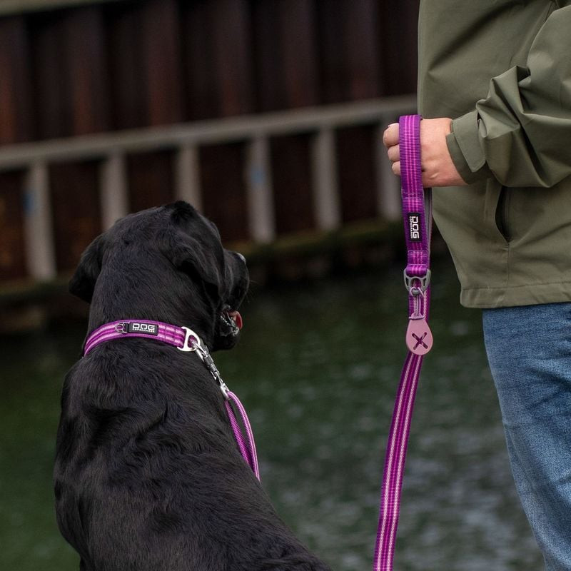 Chien courant avec laisse DOG Copenhagen Urban Freestyle, démontrant la liberté de mouvement avec lo